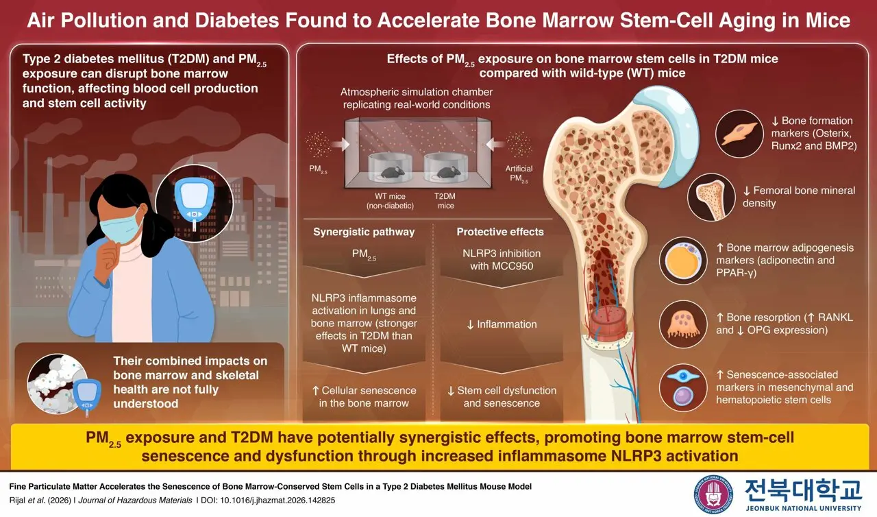 Diabetul crește vulnerabilitatea la daunele celulare ale poluării aerului
