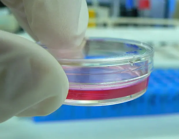 TIBI câștigă finanțare NIH pentru implanturi retiniene biostampate 3D